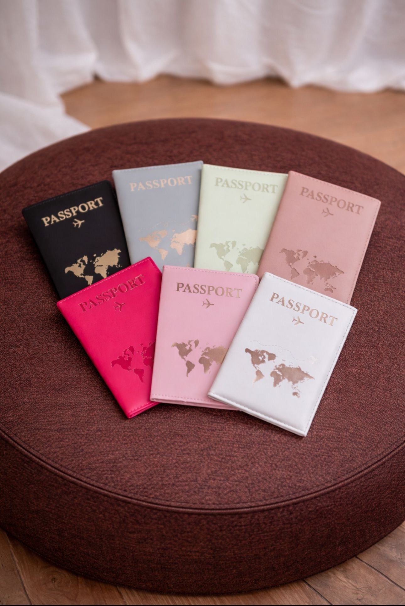 Passeport carte du monde